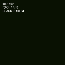 #091102 - Black Forest Color Image